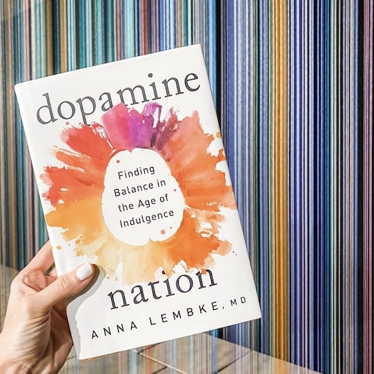 Dopamine Nation Book
